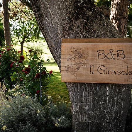 Il Girasole Bed & Breakfast Basciano Екстериор снимка