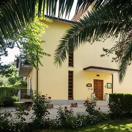Il Girasole Bed & Breakfast Basciano Екстериор снимка