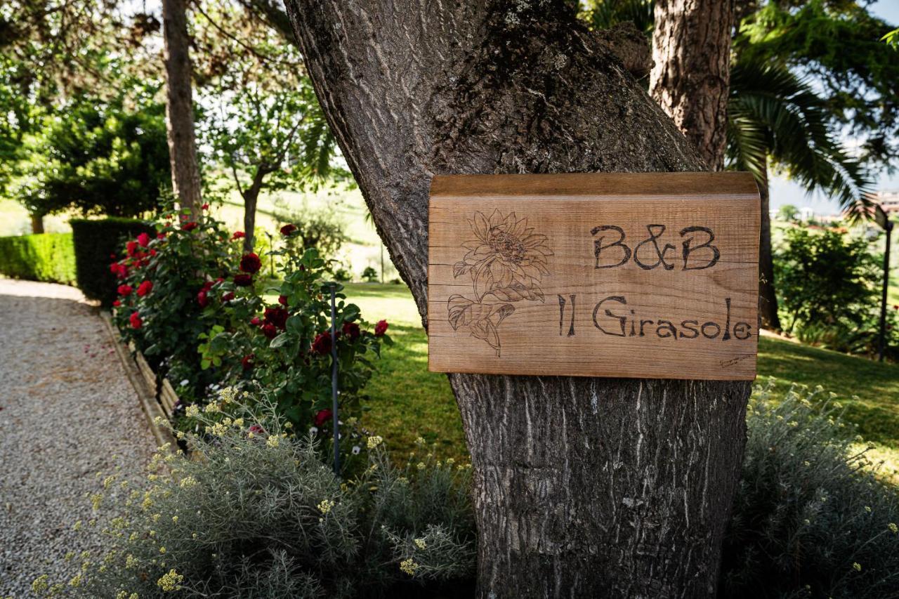 Il Girasole Bed & Breakfast Basciano Екстериор снимка