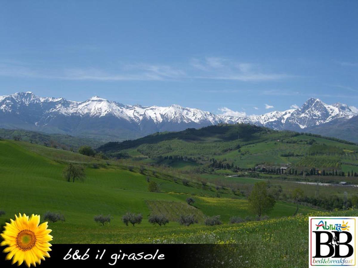 Il Girasole Bed & Breakfast Basciano Екстериор снимка